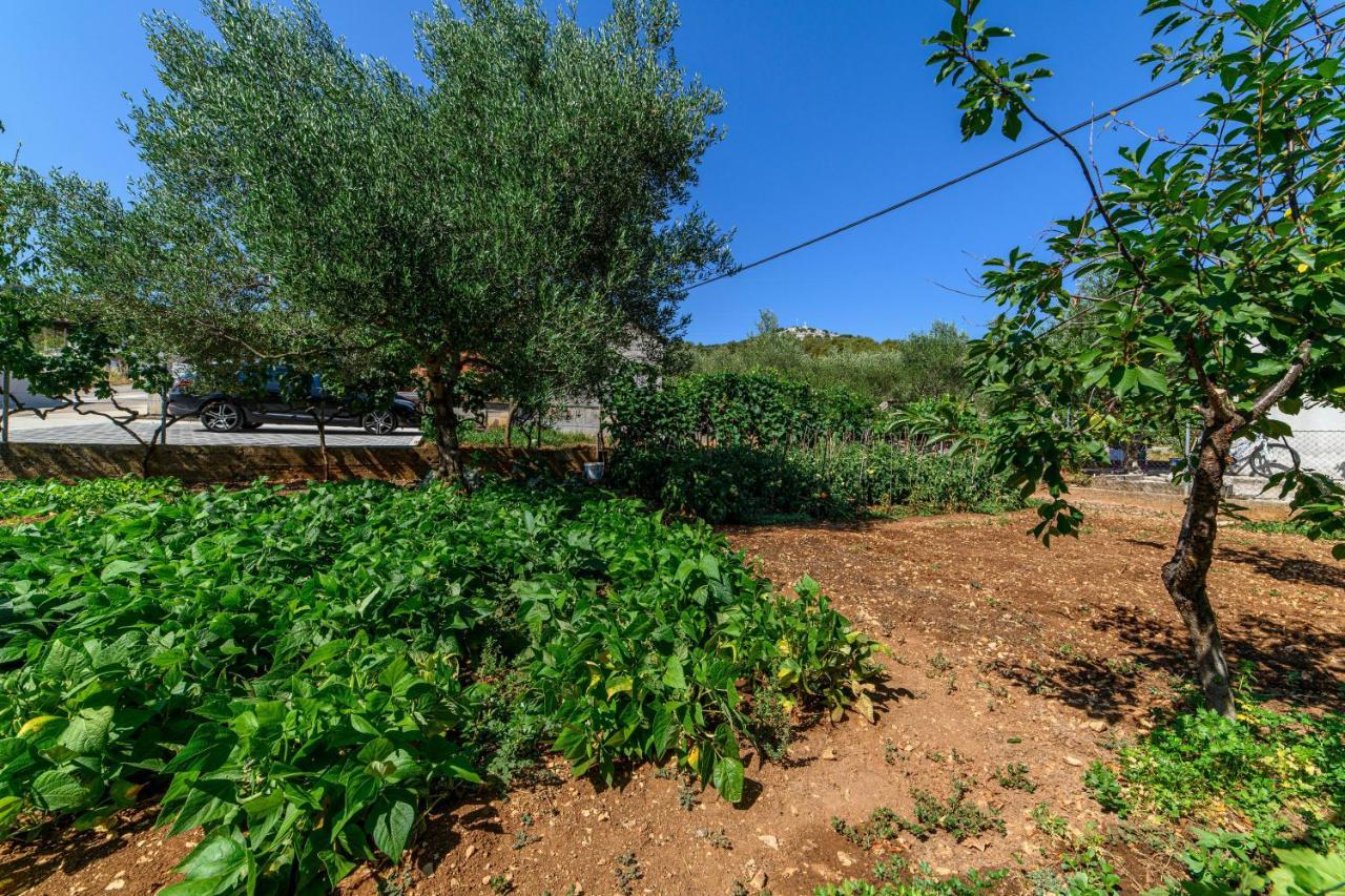 Apartman Maslina Sibenik Exterior photo